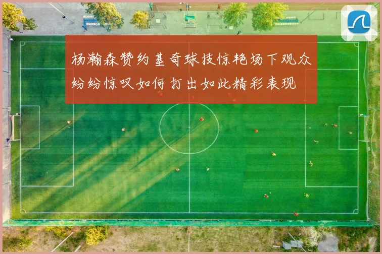 杨瀚森赞约基奇球技惊艳场下观众纷纷惊叹如何打出如此精彩表现