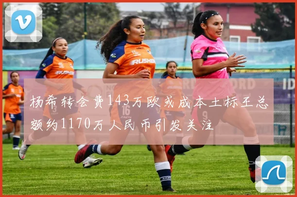 杨希转会费143万欧或成本土标王总额约1170万人民币引发关注