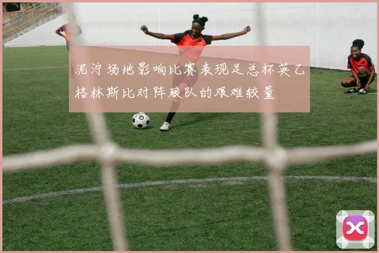 泥泞场地影响比赛表现足总杯英乙格林斯比对阵狼队的艰难较量